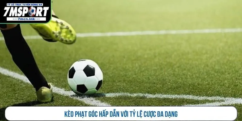 Kèo phạt góc hấp dẫn với tỷ lệ cược đa dạng