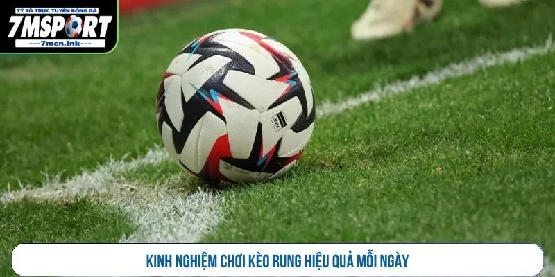 Kinh nghiệm chơi kèo rung hiệu quả mỗi ngày