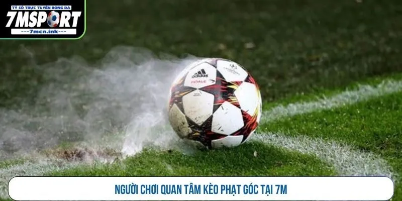 Người chơi quan tâm kèo phạt góc tại 7M
