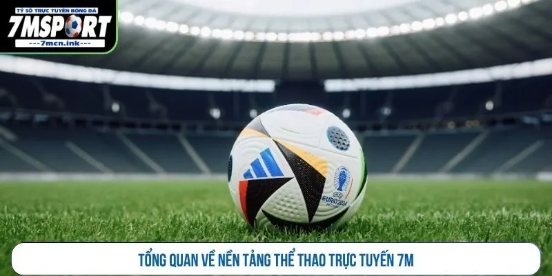 Tổng quan về nền tảng thể thao trực tuyến 7M