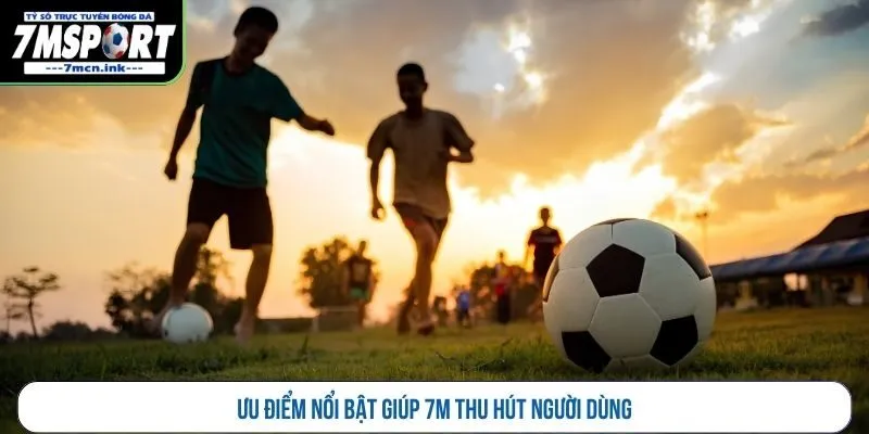 Ưu điểm nổi bật giúp 7M thu hút người dùng
